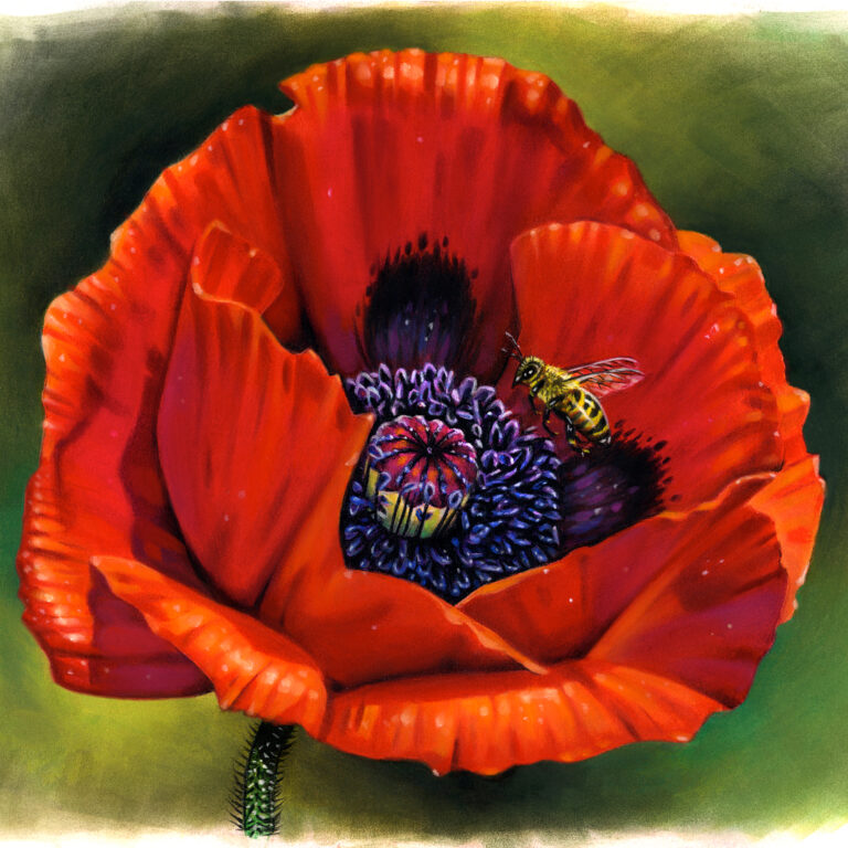 نقاشی طبیعت با مداد رنگی؛ هنرمند: Morgan Davidson