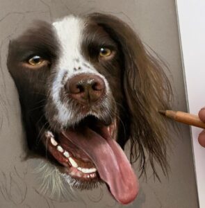 نقاشی حیوانات با مداد رنگی، سگ؛ هنرمند Paul Miller