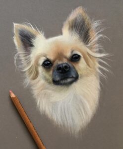 نقاشی حیوانات با مداد رنگی، سگ؛ هنرمند Paul Miller