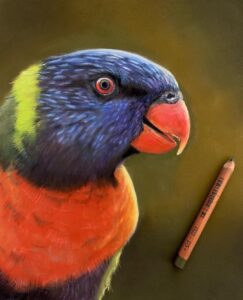 نقاشی حیوانات با مداد رنگی، پرنده؛ هنرمند Paul Miller