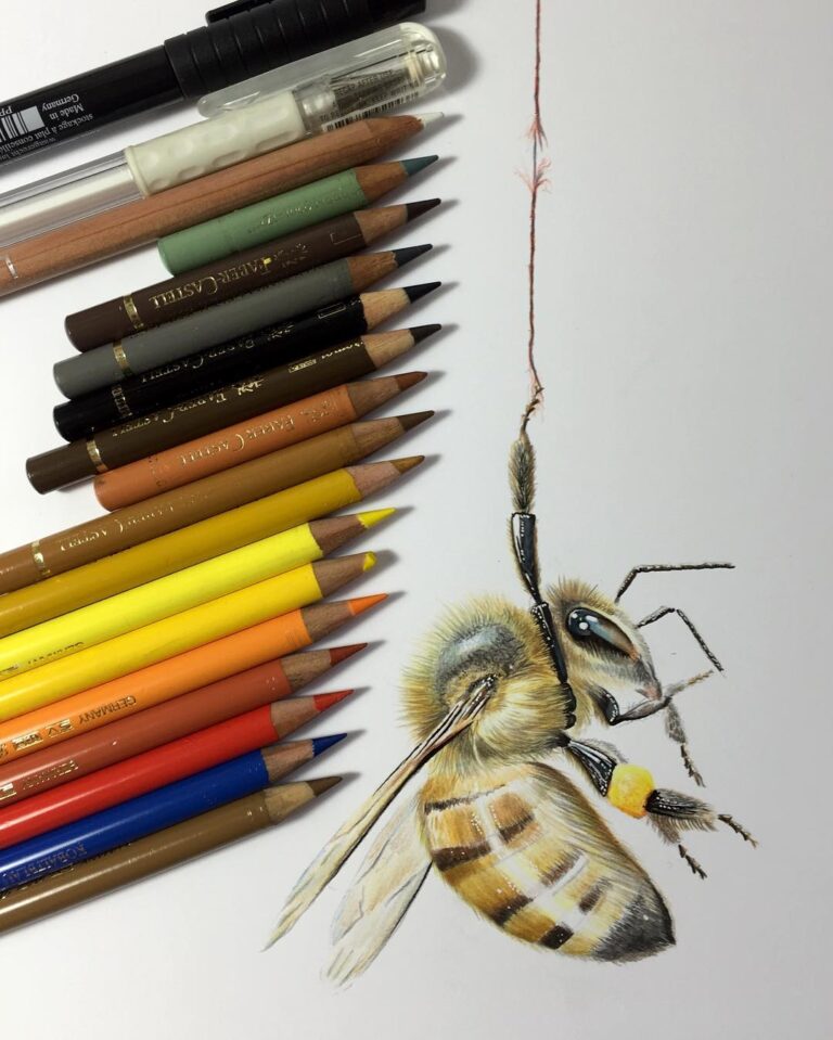 نقاشی حیوانات با مداد رنگی، زنبور؛ هنرمند Paul Miller