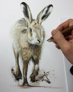 نقاشی حیوانات با مداد رنگی، خرگوش؛ هنرمند Paul Miller