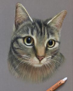 نقاشی حیوانات با مداد رنگی، گربه؛ هنرمند Paul Miller