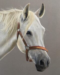 نقاشی حیوانات با مداد رنگی، اسب؛ هنرمند Paul Miller