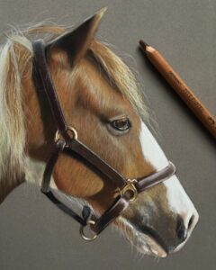 نقاشی حیوانات با مداد رنگی، اسب؛ هنرمند Paul Miller