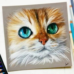 نقاشی صورت گربه سفید و حنایی با استفاده از مداد رنگی