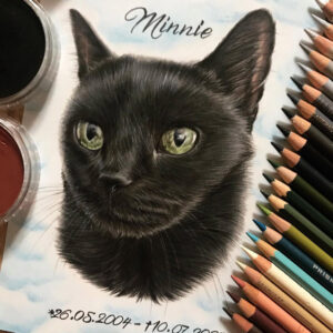 نقاشی صورت گربه سیاه با استفاده از مداد رنگی