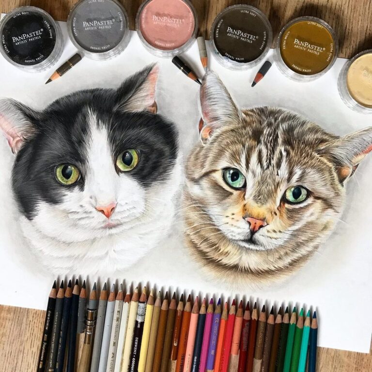 نقاشی صورت دو گربه با استفاده از مداد رنگی مارک فابر کاستل پلی کروم و توجه به جزئیات ریز آنها