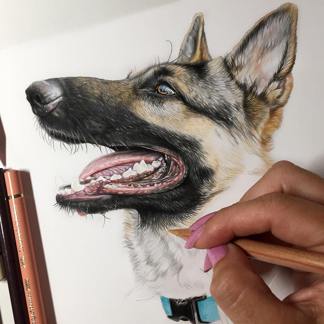 نقاشی سگ با مداد رنگی